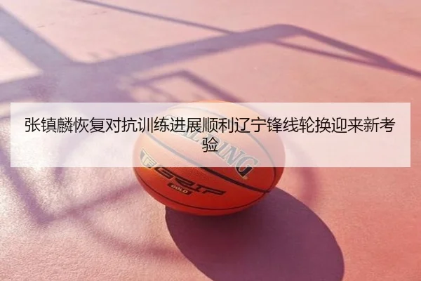 张镇麟恢复对抗训练进展顺利辽宁锋线轮换迎来新考验